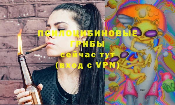 стаф Абинск