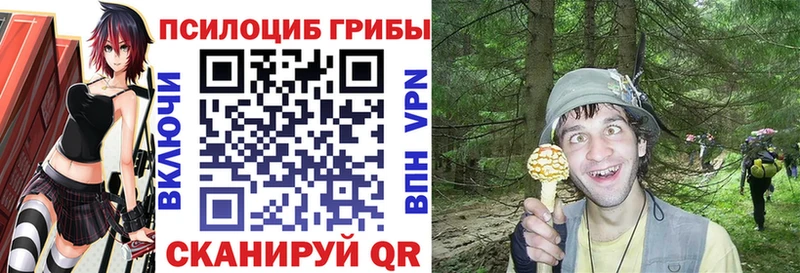 Псилоцибиновые грибы Magic Shrooms  Ярославль 