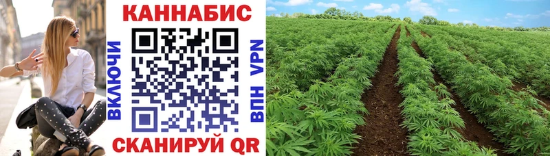 МАРИХУАНА SATIVA & INDICA Ярославль